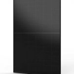 Neostar 445Wp 54 cells backcontact full black